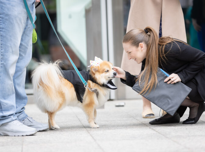 We are dog friendly