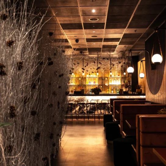 Charlotte Street Winter Wonderland